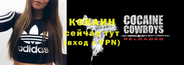 ALPHA PVP Горно-Алтайск