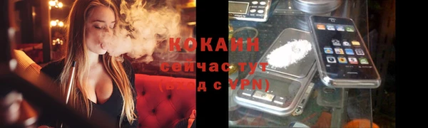 прущий лед Горняк