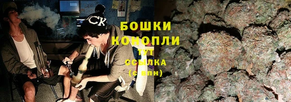 прущий лед Горняк