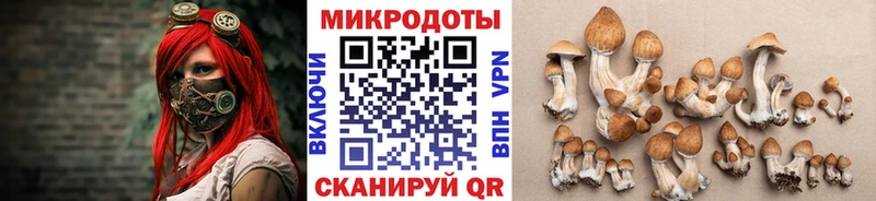 MEGA онион  Дальнереченск  Псилоцибиновые грибы MAGIC MUSHROOMS 