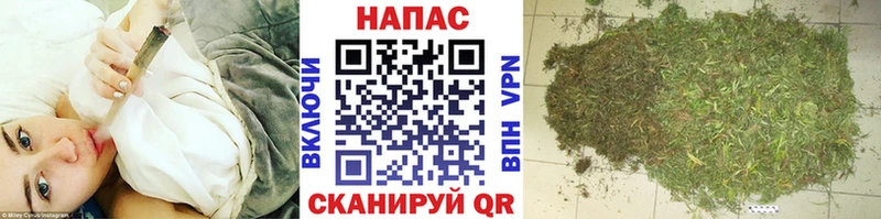 Бошки марихуана план  Дальнереченск 